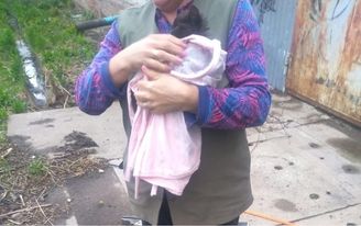 Спасатели достали котенка из колодца в Удмуртии