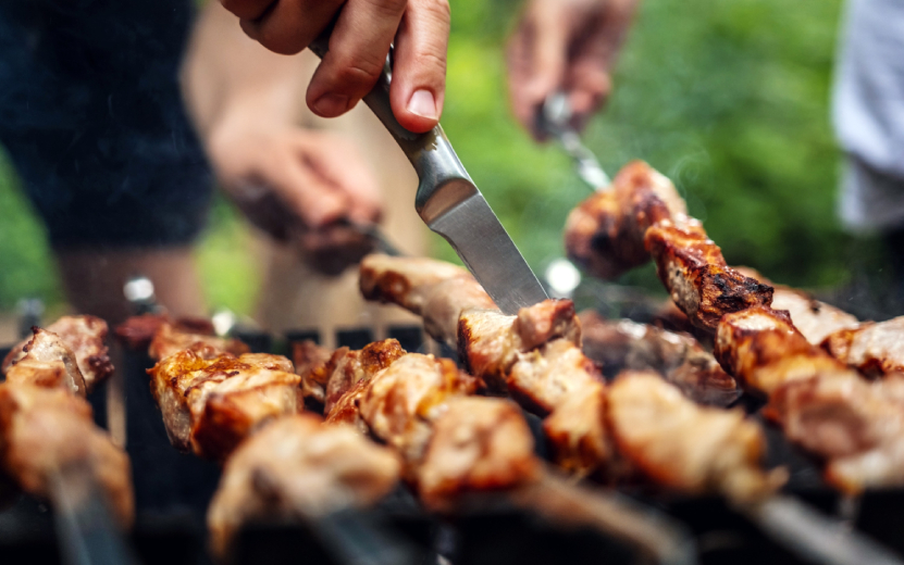barbecue-at-the-nature-2023-07-2.jpg