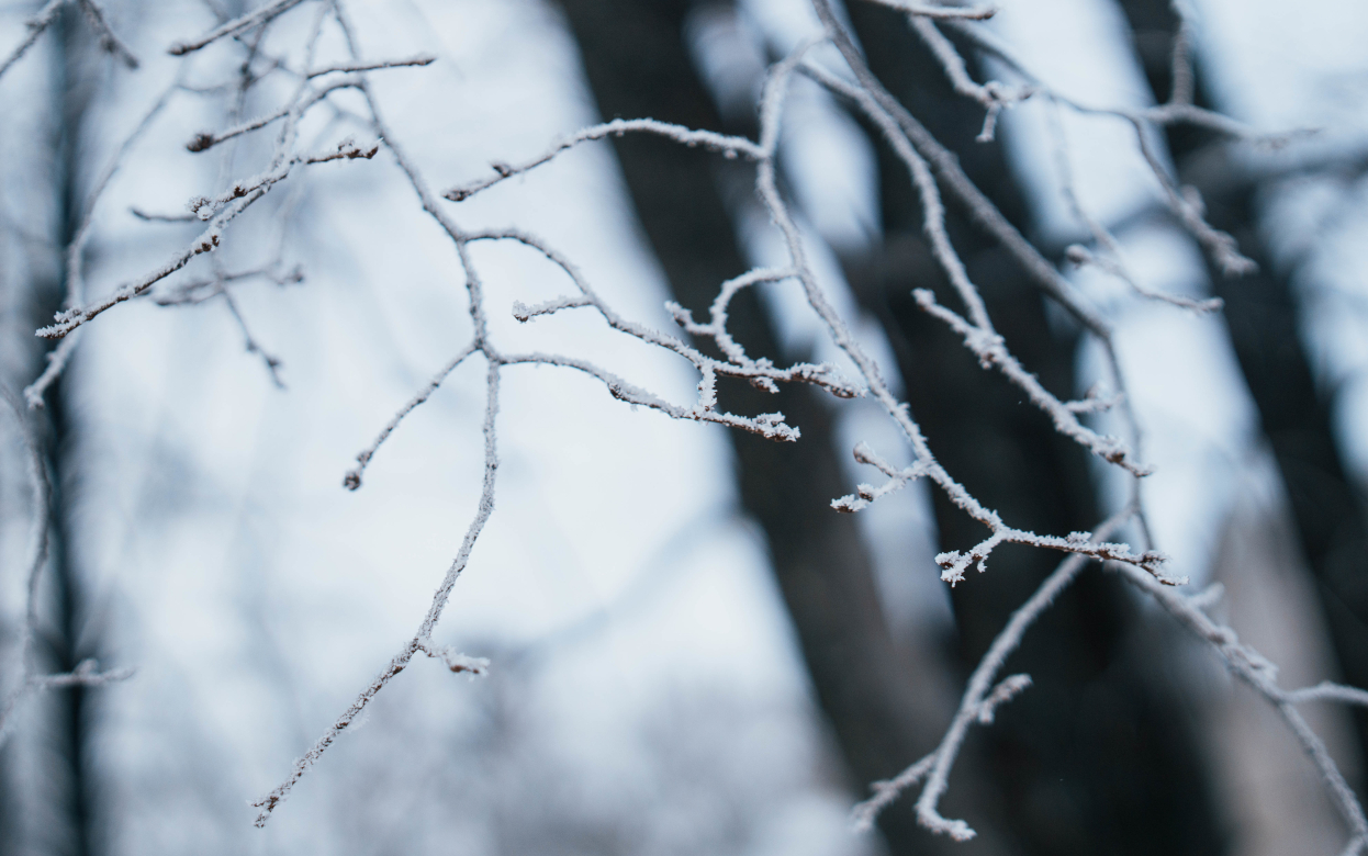 Гололед и ледяной дождь ожидаются в Удмуртии утром 20 апреля