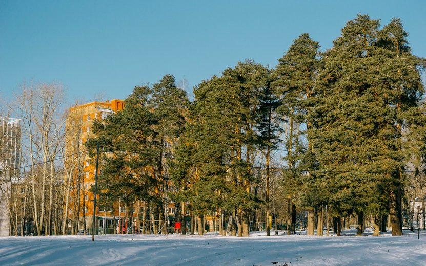 Погода в Ижевске на неделю: со 2 по 4 марта ждем тепла до +1°С и без осадков