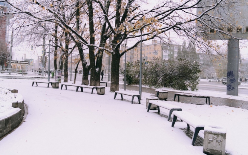 Первый снег в Ижевске. Фото: Маша Бакланова