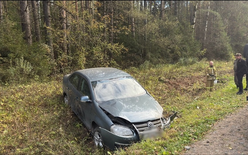 Девушка и 2-летняя девочка пострадали в ДТП под Ижевском