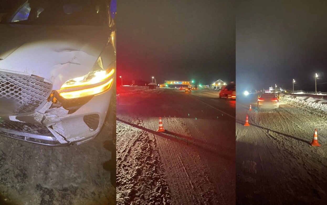 Пешеход погиб под колесами иномарки в Малопургинском районе