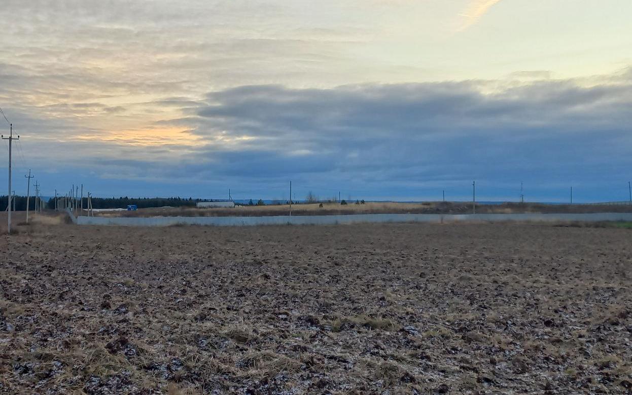 Почти 8 га незаконно переданной земли вернули в муниципальную собственность в Удмуртии