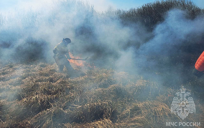 112 природных пожаров на 470 га за месяц: почему в Удмуртии так часто горит трава