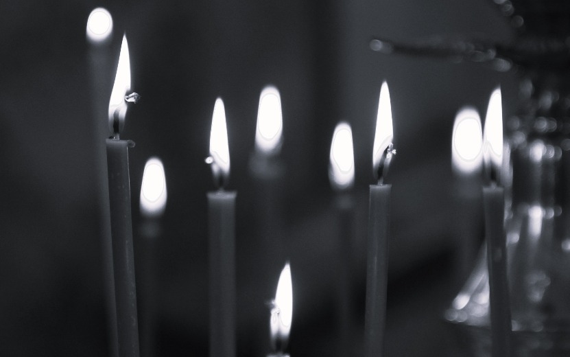 Акция «Журавли» пройдет по стране в память о жертвах теракта в Подмосковье