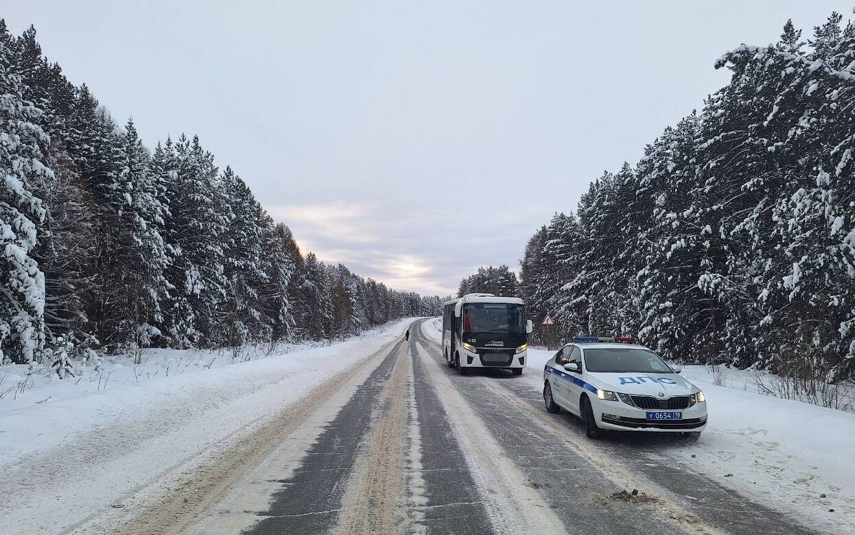 Новогоднее утро в Удмуртии закончилось реанимацией для 18-летнего пешехода