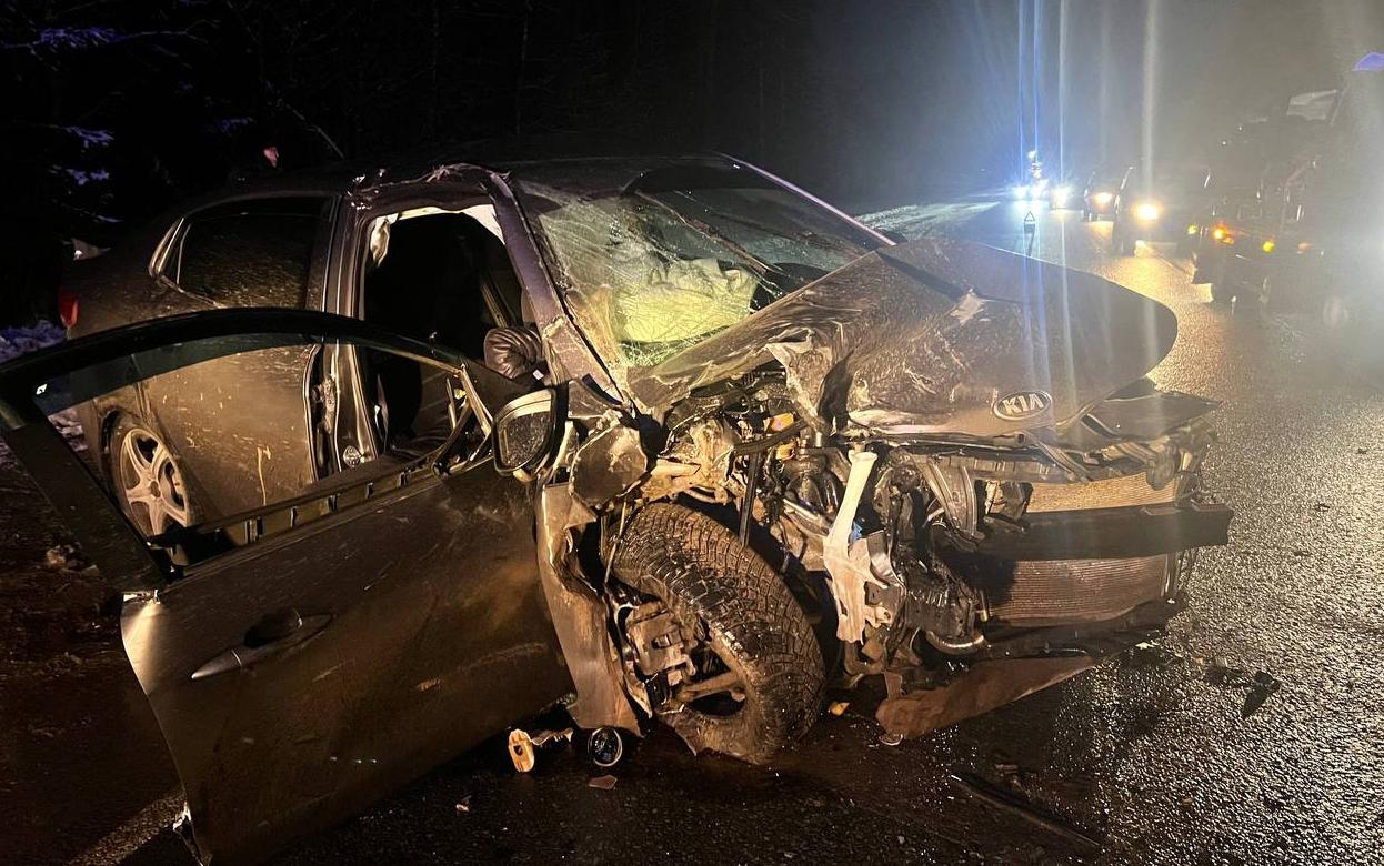 Женщина и подросток пострадали в ДТП на трассе в Удмуртии