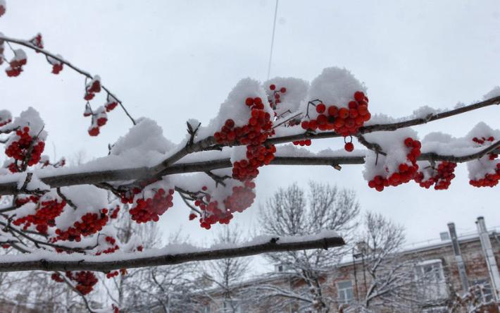 Погода в Ижевске на день: до -6°С ожидают в городе 16 ноября