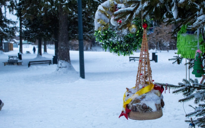 Предновогодний Ижевск. Фото: Данил Иванов 