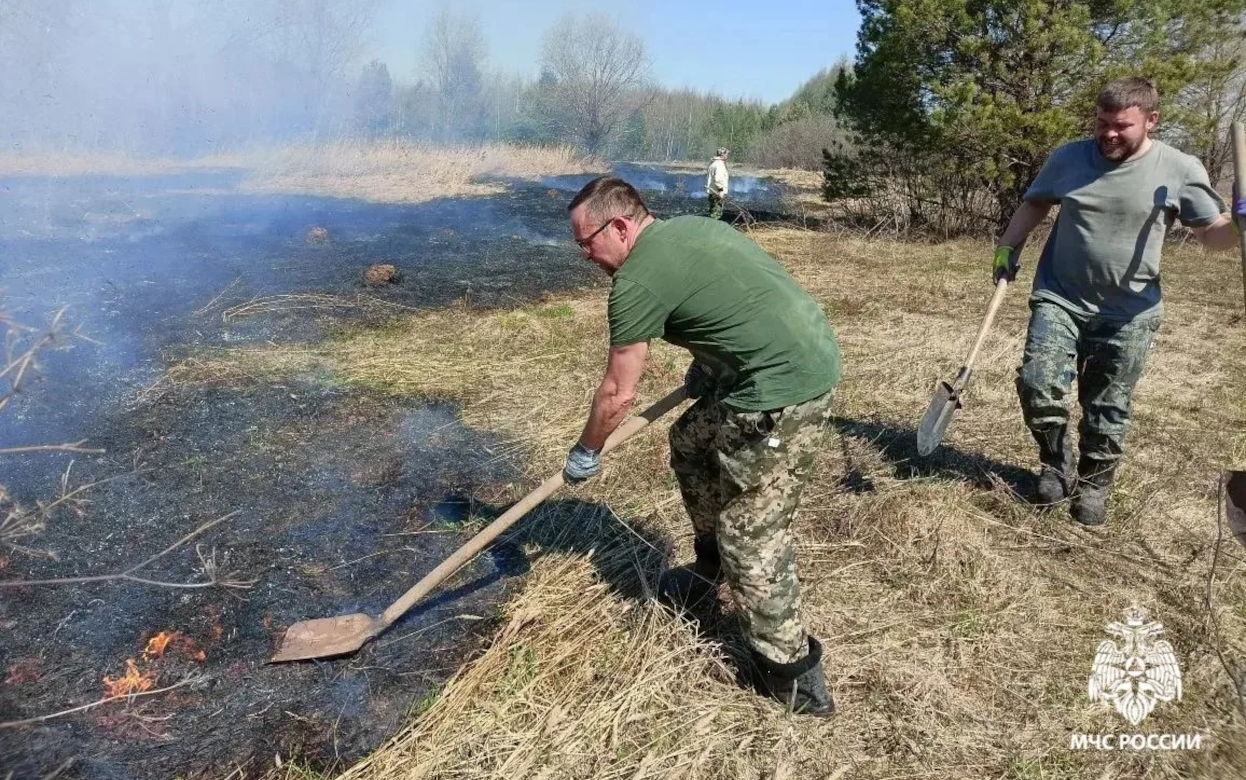 В Удмуртии остановили крупный ландшафтный пожар у лесного массива
