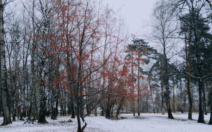 Погода в Ижевске: синоптики обещают до 0 °С 4 ноября