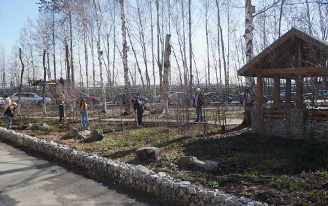 В Ижевске высадили 10 саженцев вишни и 50 кустов спиреи