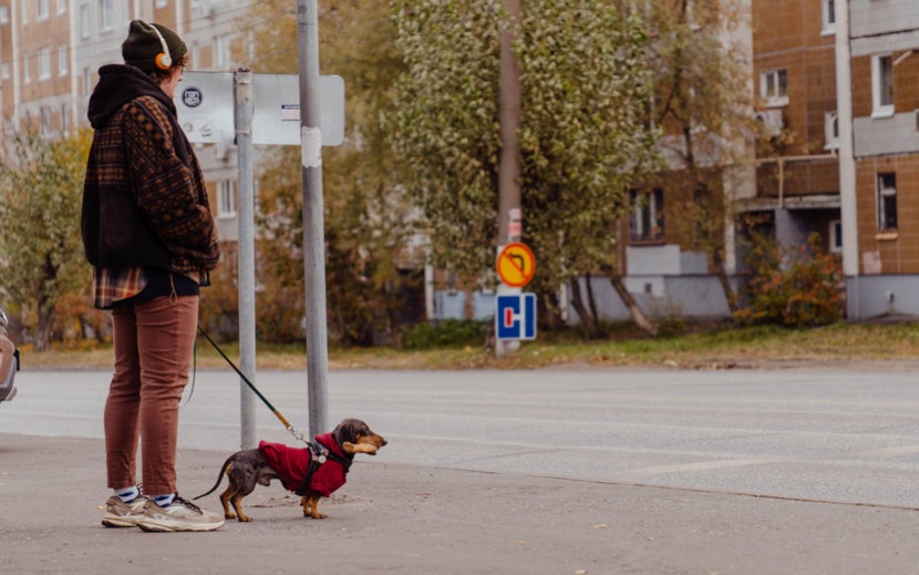 Золотая осень в Ижевске. Фото: Маша Бакланова