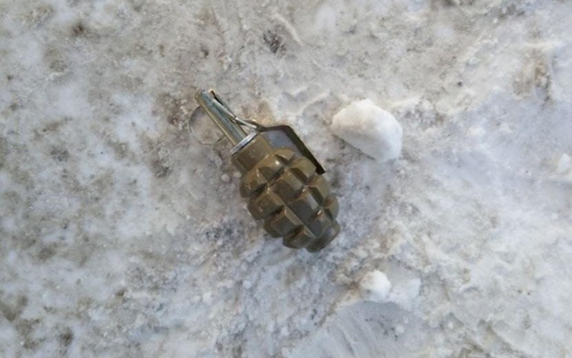 Муляж гранаты нашли в одной из квартир в Завьялово