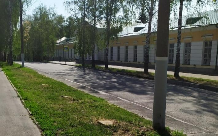 Березы вырубили вдоль улицы Наговицына в Ижевске