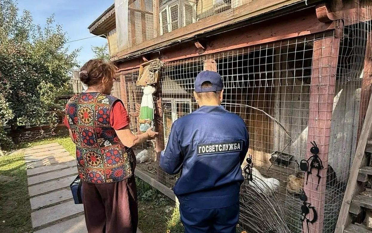 Неизвестные напали на базу отдыха в Удмуртии, погибли животные