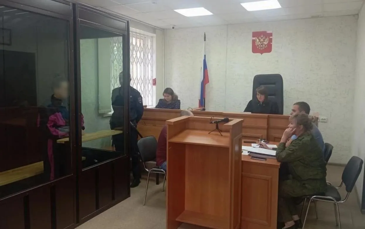 Дело обвиняемой в убийстве новорожденного ребенка передали в суд в Удмуртии
