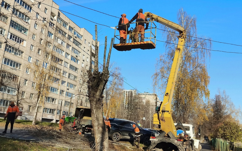 Работы по спилу аварийных деревьев у домов на улице Воровского. Фото: Дана Солнцева