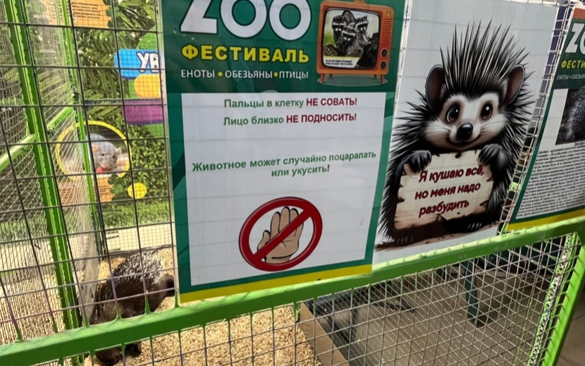 На каждой клетке организаторы поместили предупредительные таблички. Дикобраза предлагается будить, чтобы он поел. Фото: Виктория Афанасьева