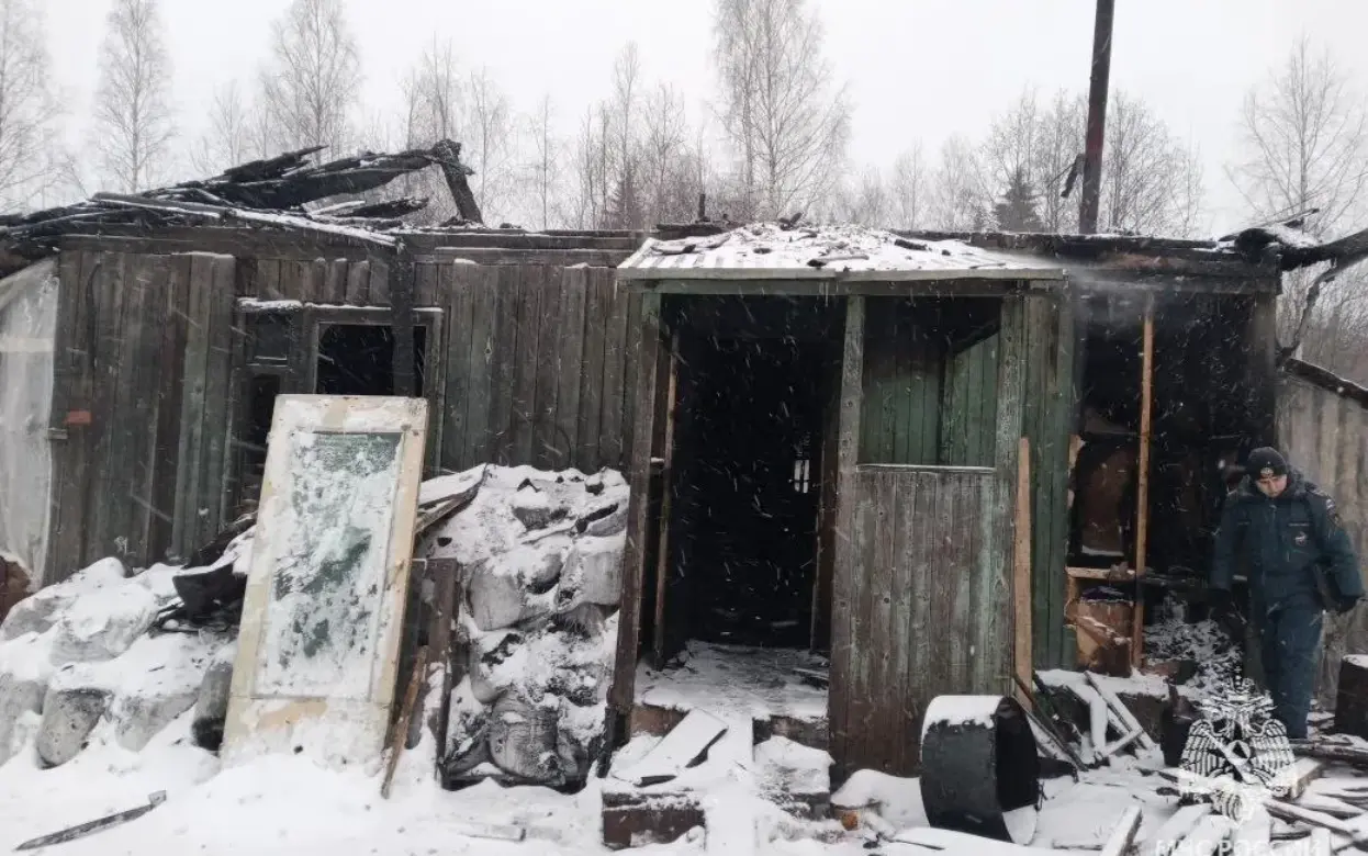 2 тыс. цыплят погибли при пожаре в Удмуртии