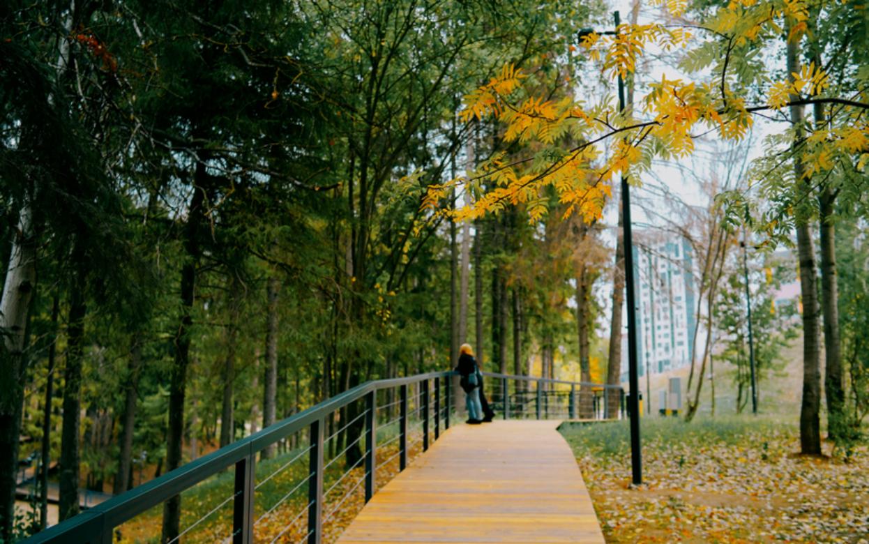 Погода в Ижевске на день: 30 октября ждем солнце и до +8°С