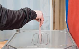 Явка на выборах в Удмуртии превысила 29%