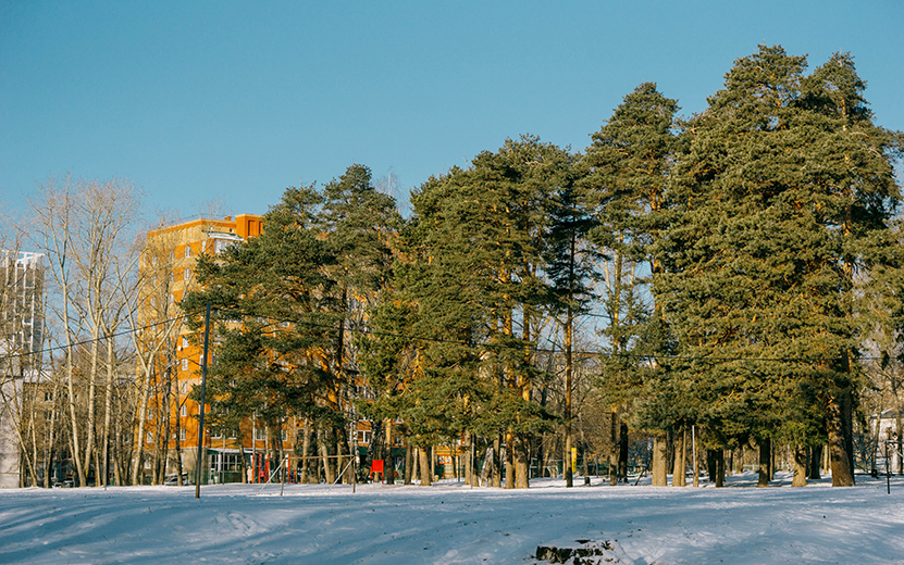 Погода в Ижевске на день: 15 февраля столбик термометра опустится до -29 градусов