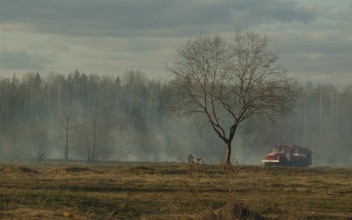 Чрезвычайная пожароопасность лесов сохраняется в Удмуртии