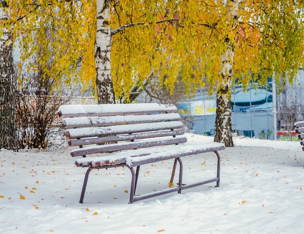 Облачная погода без осадков ожидается 2 ноября в Ижевске