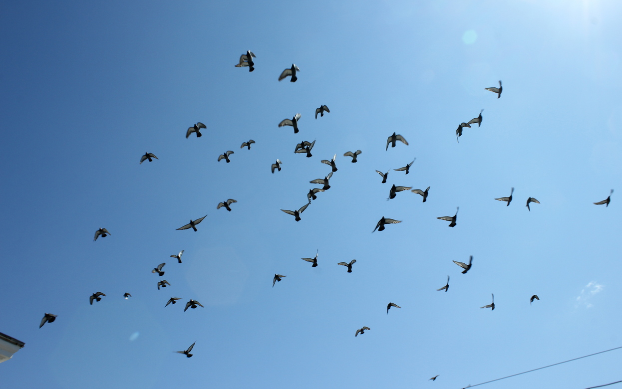 Температурный рекорд для 2 апреля обновился в Ижевске