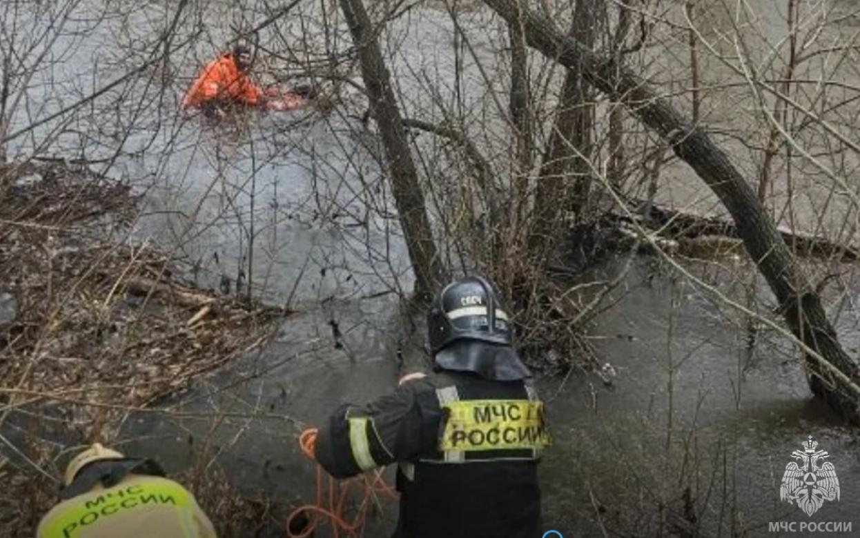 Тонущего мужчину спасли на реке в Ижевске
