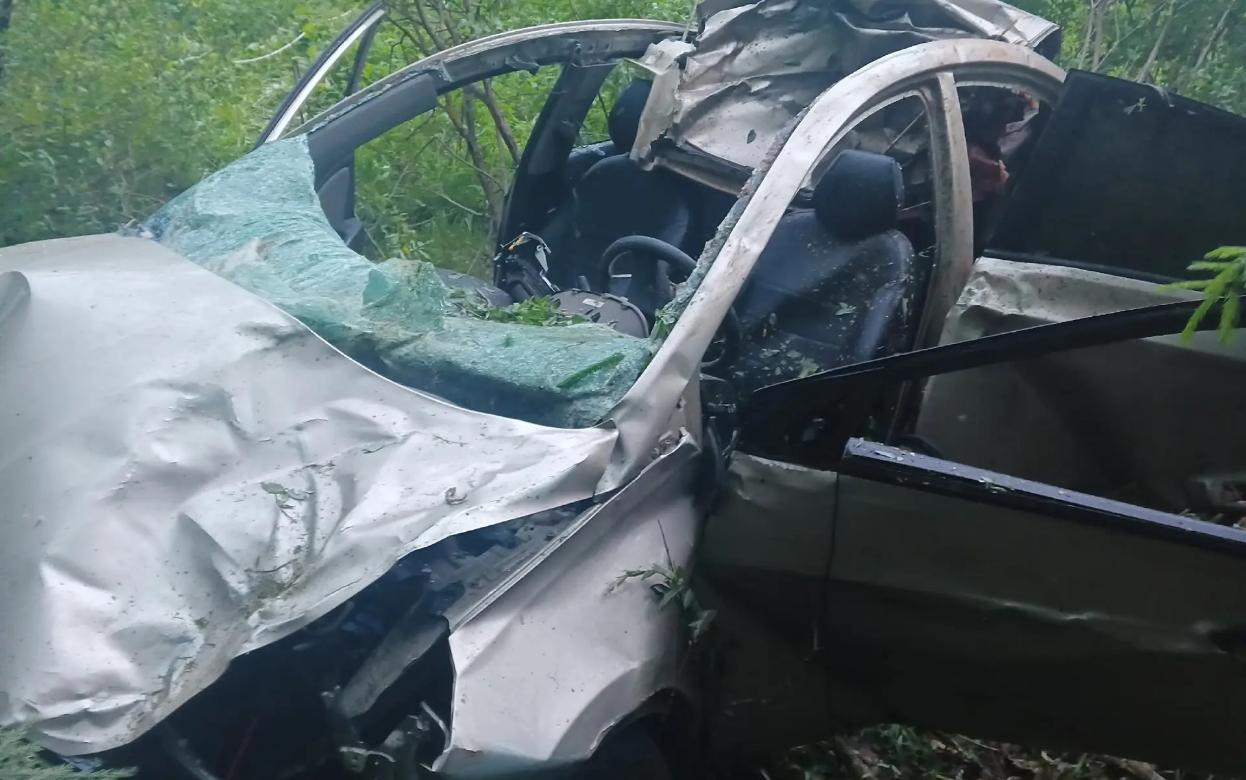 «Солярис» сбил лося под Ижевском: водитель погиб, пассажирки попали в больницу