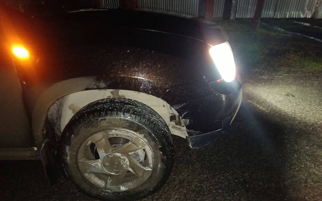 Женщина-пешеход погибла под колесами Renault Duster в Малопургинском районе