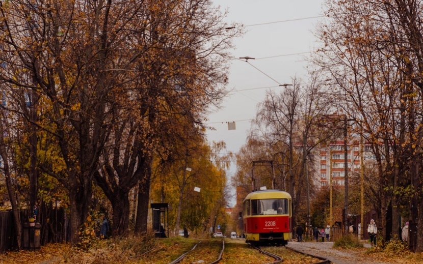 Золотая осень в Ижевске. Фото: Маша Бакланова