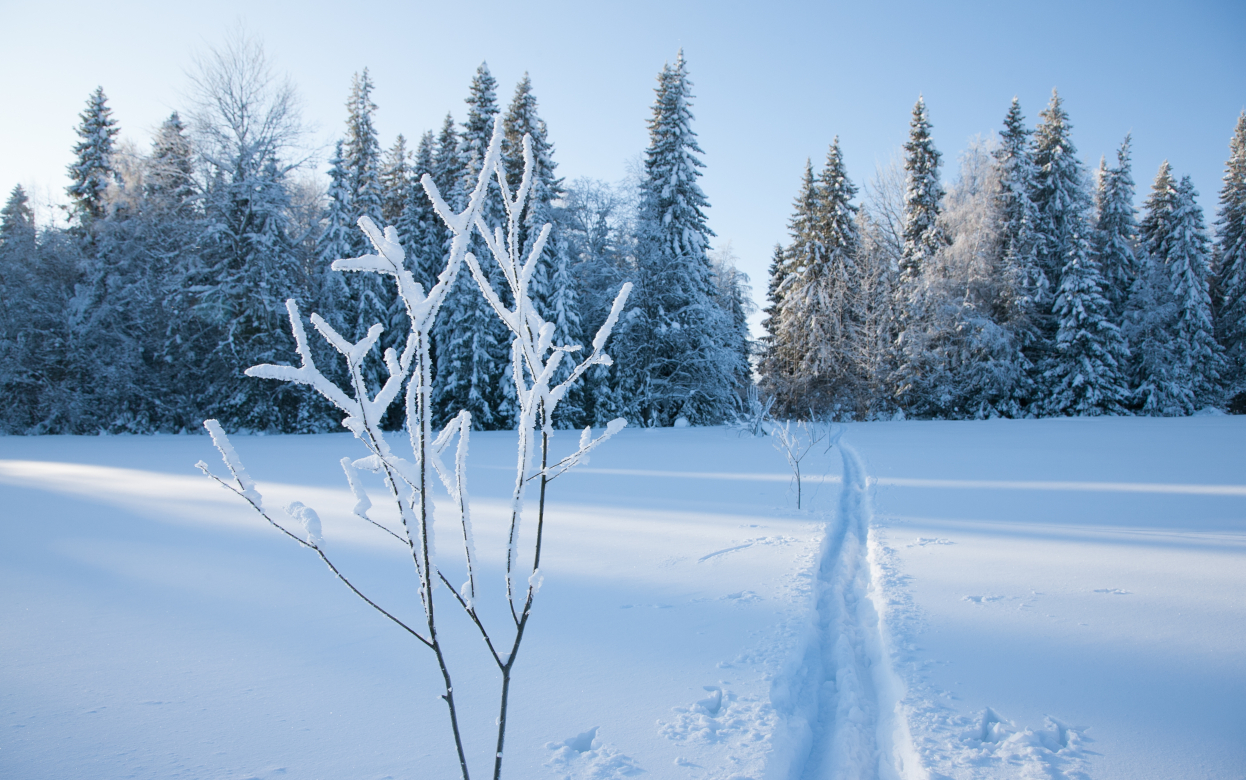 Похолодание до -31°С ожидается утром 10 марта