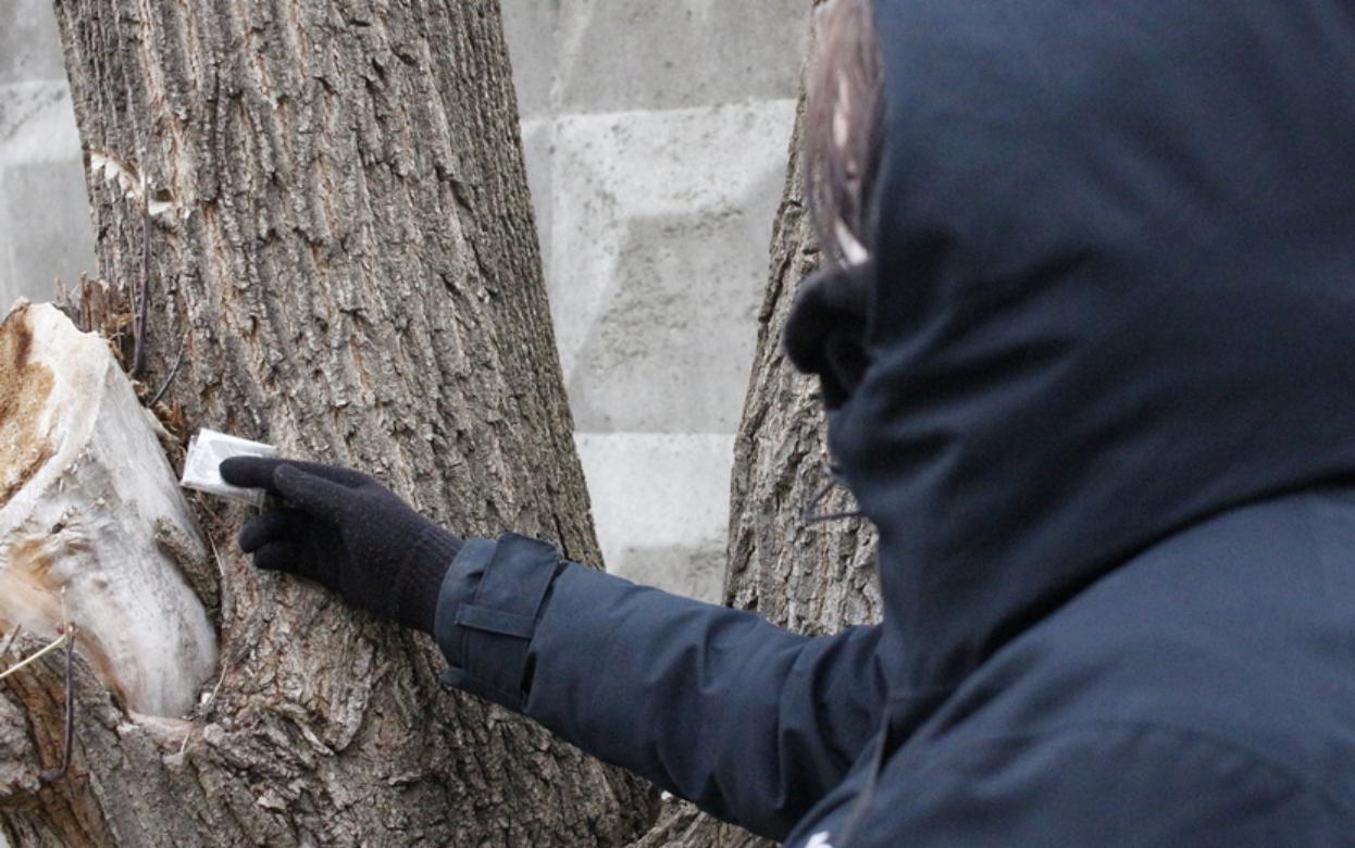 Подростка-закладчика осудят в Ижевске за распространение наркотиков