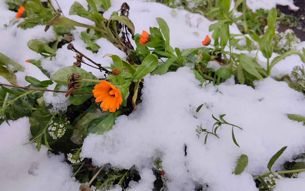 «Оснеговились»: жители делятся фотографиями снежного Ижевска