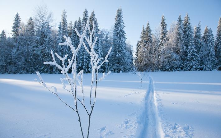 Погода в Ижевске на день: 7 марта снежный накат и гололедица на дорогах