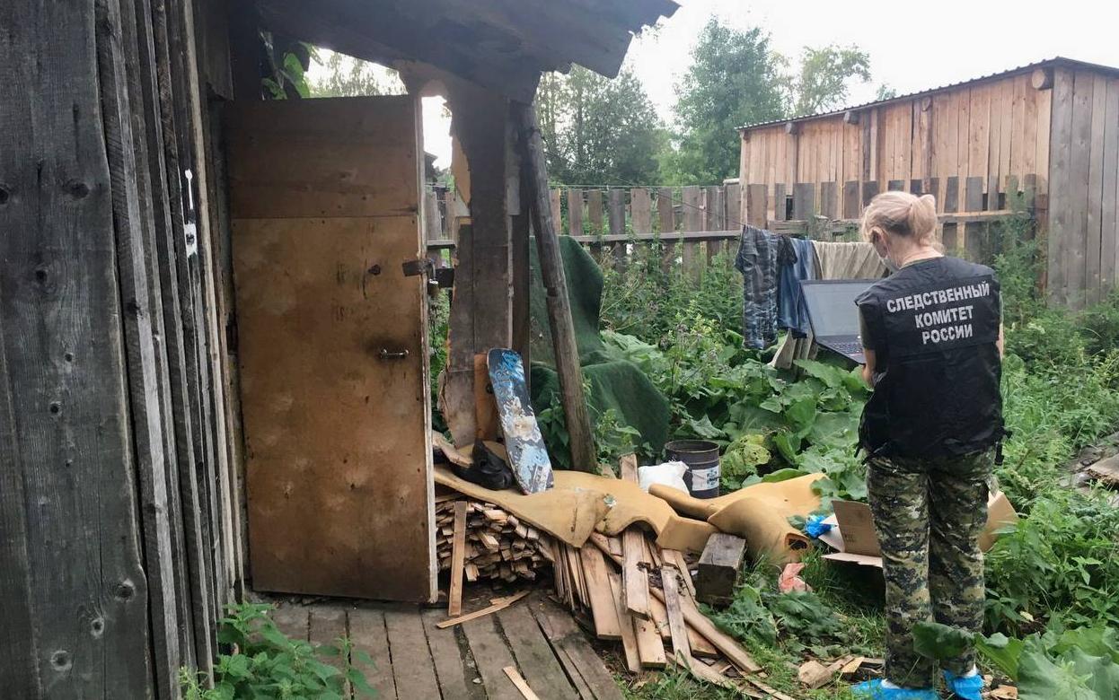 Жителя Балезино осудили на 12 лет за убийство соседа