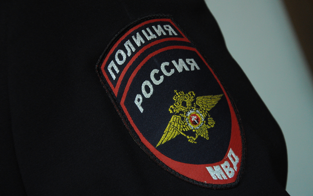 Полиция проводит проверку сообщений об убийстве собаки в Удмуртии