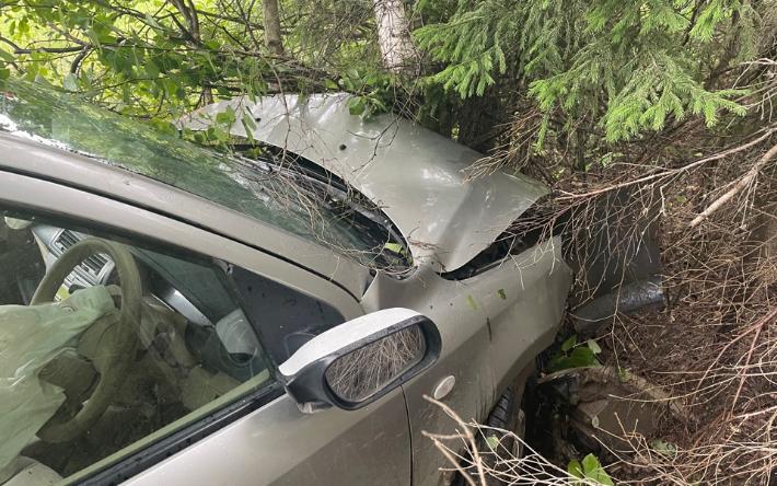 27-летний житель Удмуртии врезался в дерево при съезде с дороги