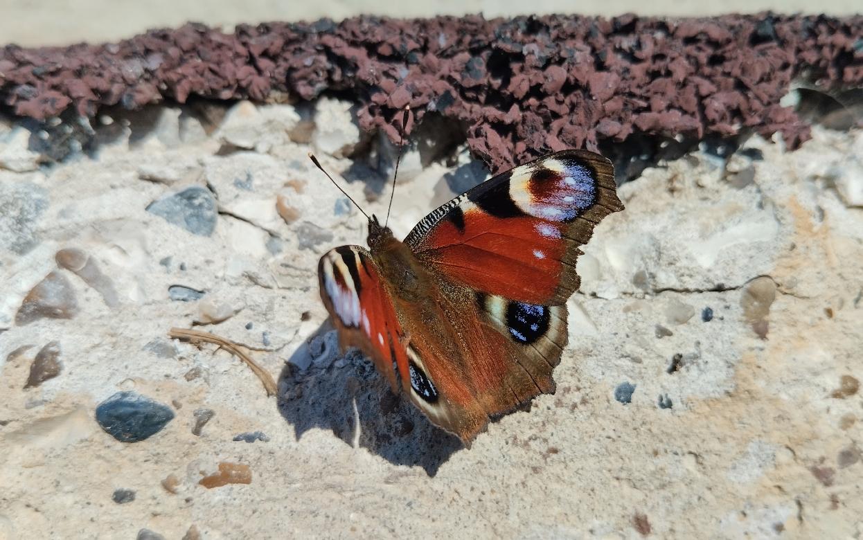 Абсолютный рекорд максимальной температуры для марта обновился в Ижевске