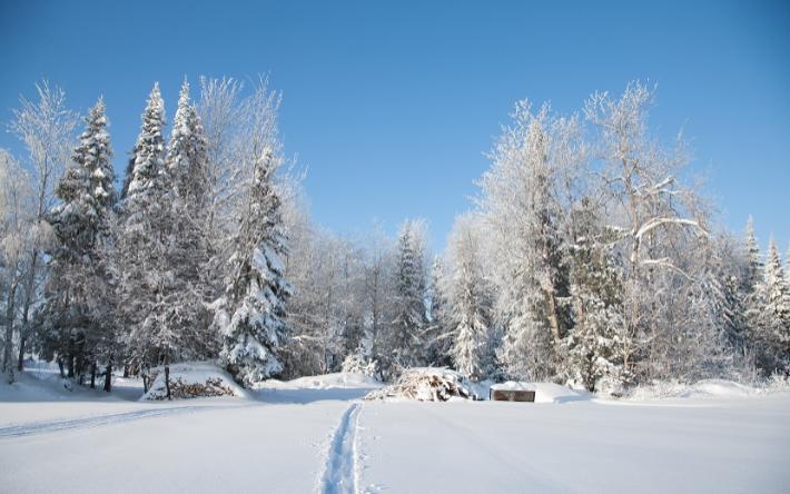 Погода в Ижевске на день: 10 февраля пасмурно и -4 °С