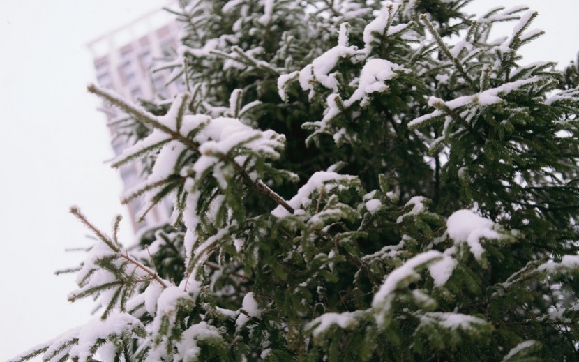 Первый снег в Ижевске. Фото: Маша Бакланова