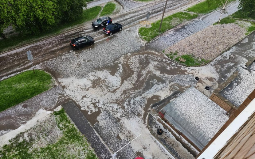 Фото: Полина Андрианова