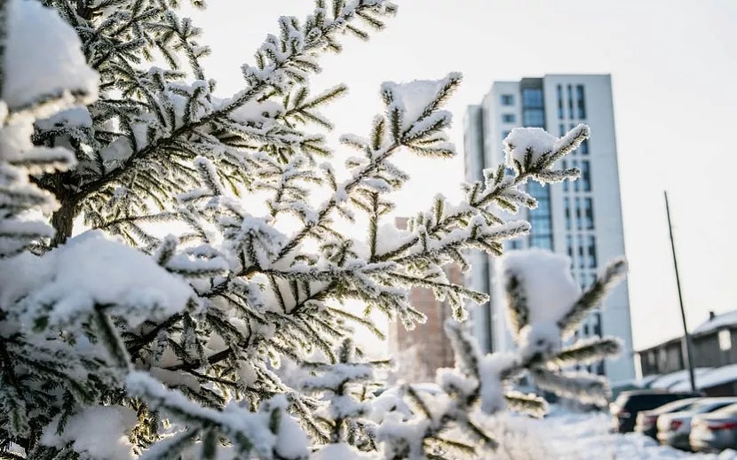 Погода в Ижевске на день: 28 февраля температура воздуха в Ижевске поднимется до -1 градуса