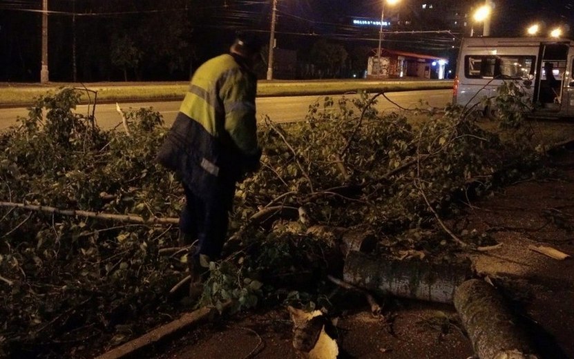 Коммунальные службы Ижевска убирают поваленные ветром деревья