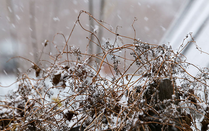 Погода в Ижевске: снег с дождем и небольшой «минус»