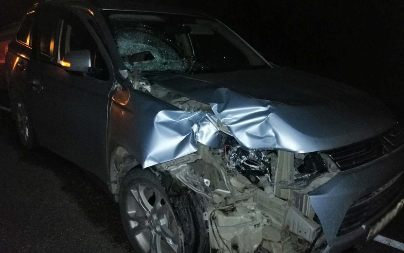 Пожилой водитель насмерть сбил пешехода на окраине Ижевска